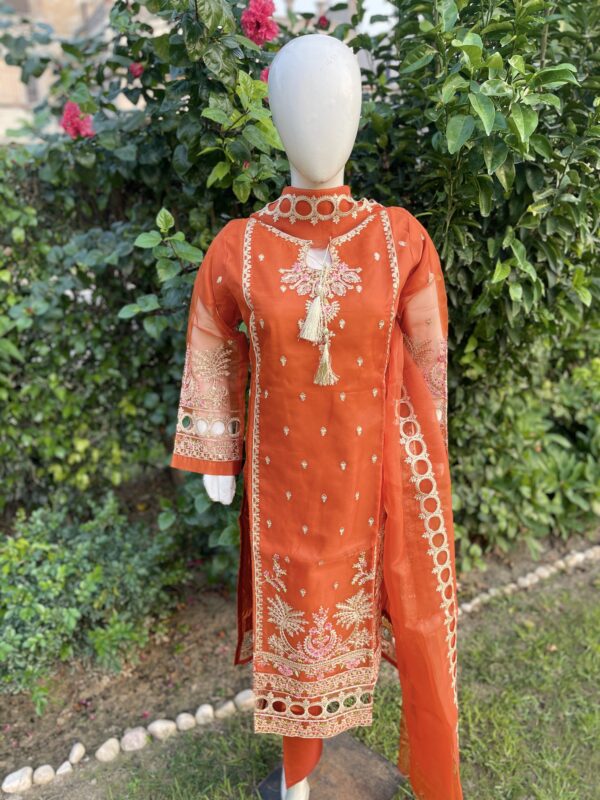 Orange Fancy Suit - 3 piece - Image 3