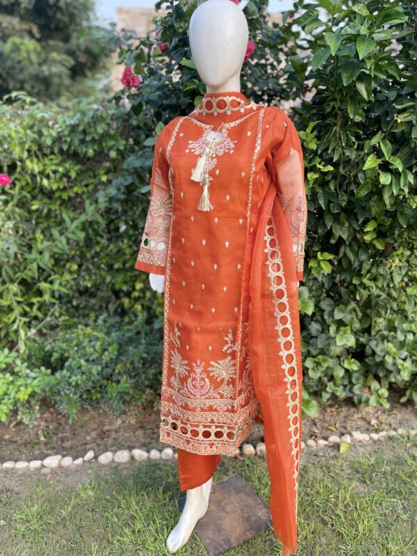 Orange Fancy Suit - 3 piece