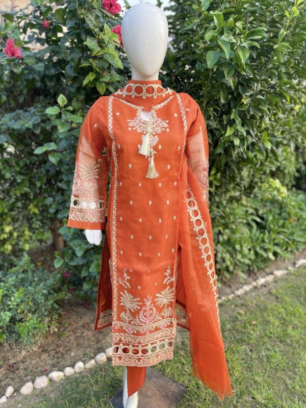 Orange Fancy Suit - 3 piece - Image 5